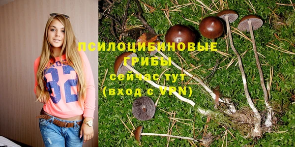 амфетамин Надым