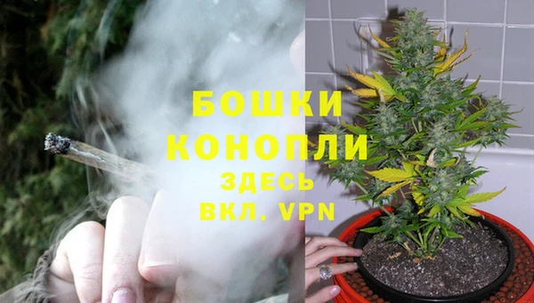 МДПВ Навашино
