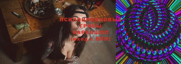 МДПВ Навашино