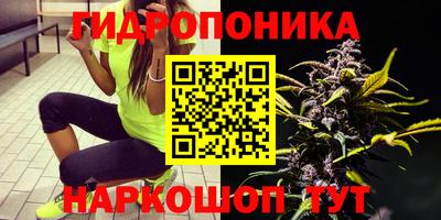марки lsd Будённовск