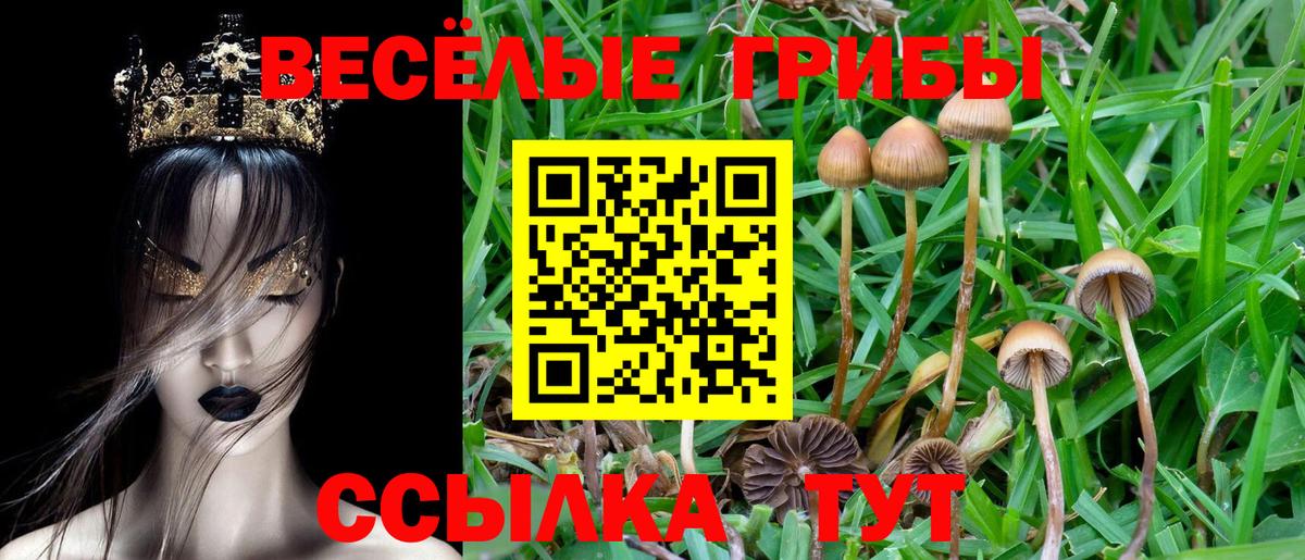 Мурманск  Галлюциногенные грибы MAGIC MUSHROOMS  Галлюциногенные грибы мицелий  Вход с VPN 