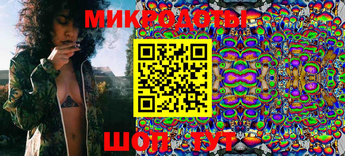 Псилоцибиновые грибы Psilocybe Мурманск