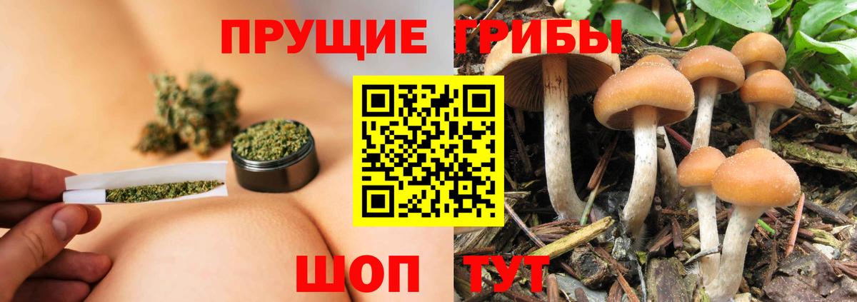 Галлюциногенные грибы Magic Shrooms  Псилоцибиновые грибы Psilocybe  Мурманск 