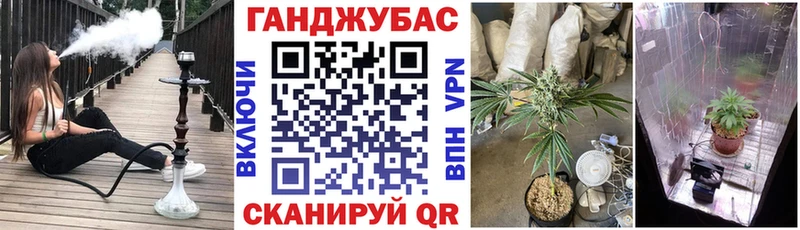 Канабис THC 21% где купить наркоту площадка клад Мурманск