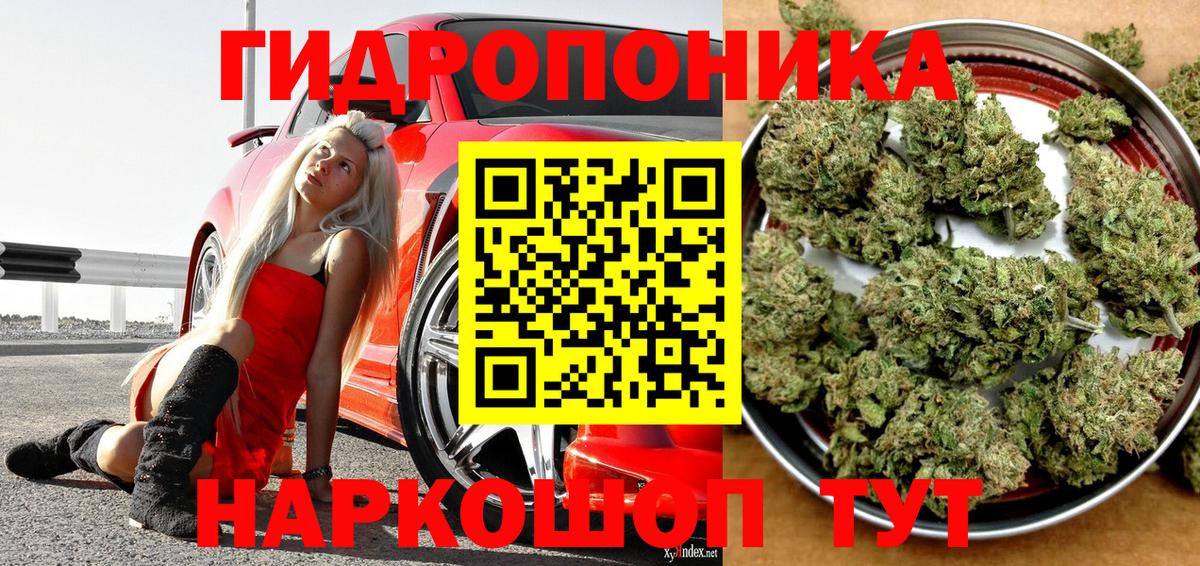 Канабис Amnesia Мурманск